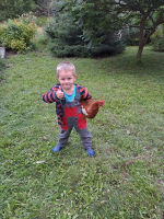 02fb29db-20250711-201108.jpeg
