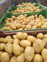 17a57e0d-20250724-094720.jpeg